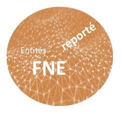 Lire la suite à propos de l’article Suspension du projet FNE et perspectives nouvelles